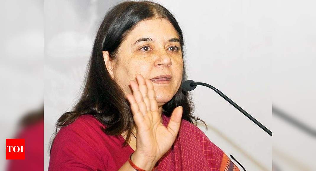 45 passports of NRIs cancelled for abandoning their wives: Maneka ...