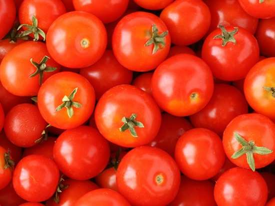 Tomatoes could cause blood sugar levels to spike, experts warn ...