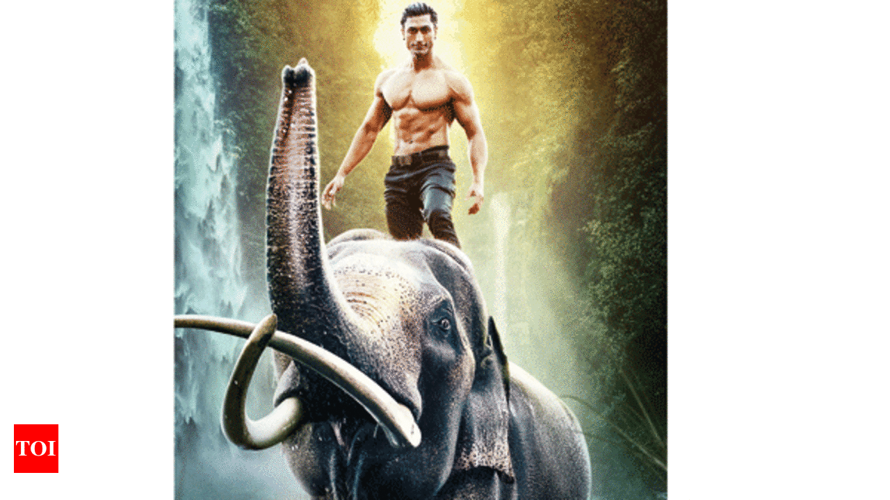 Junglee: A tale of two beasts | Hindi Movie News - Times of India