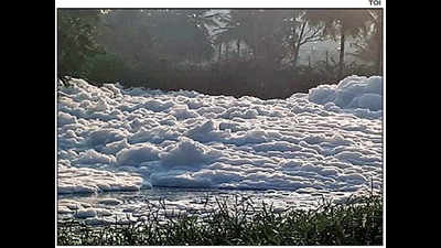 Varthur Lake froth spills on to Bengaluru streets