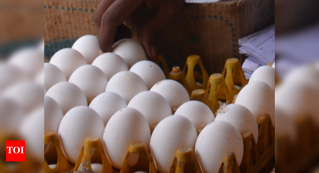 Kolkata High egg prices lay bare wholesaleretail gap Kolkata News Times of India