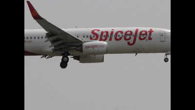 SpiceJet to begin flight operations from Darbhanga on August 1