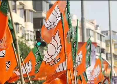 Many sitting BJP MPs in Karnataka likely to be denied tickets