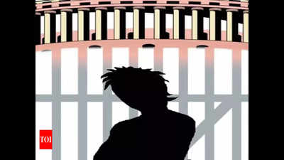 Two juveniles held for phone snatching