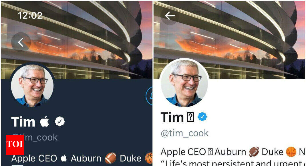 how to make apple logo Here's why some users cannot see Apple CEO Tim