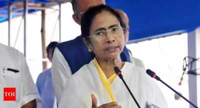Muslims attacked on petty pretexts like eating beef under BJP rule, says Mamata in her book