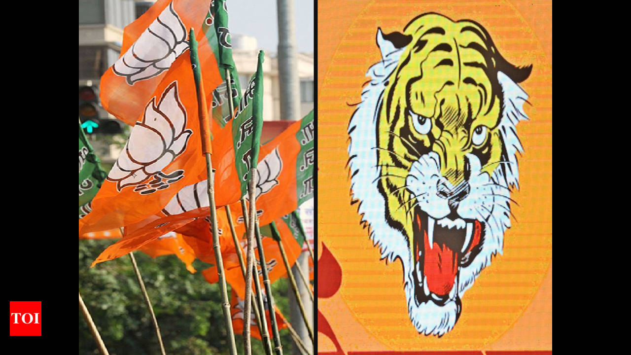 Will India remain stable, wonders Shiv Sena