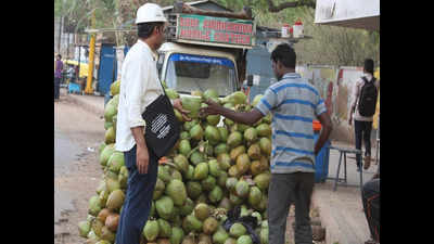 Tender coconut price rises with mercury