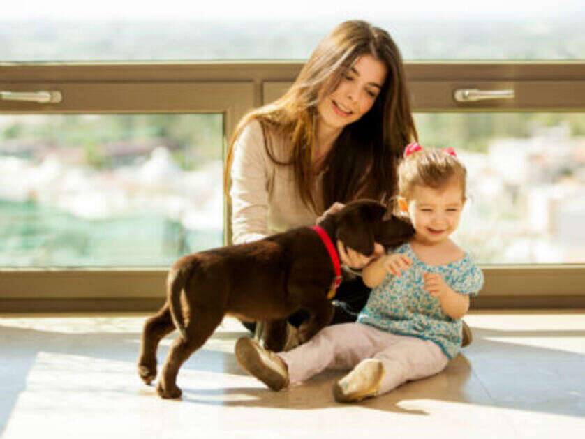 These household cleaners are safe for both your baby and your pet