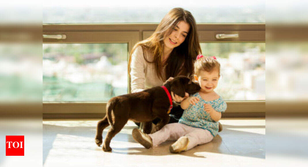 floor disinfectant safe for dogs