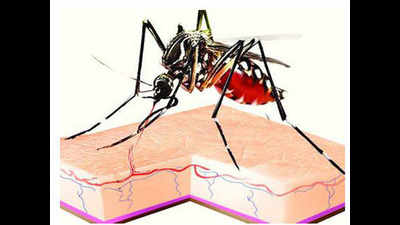 Malappuram boy infected with West Nile virus