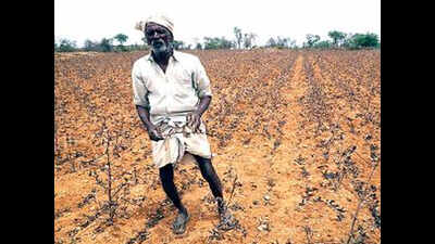 Lok Sabha elections 2019: Farmers’ distress to top parties’ campaign issues in Karnataka
