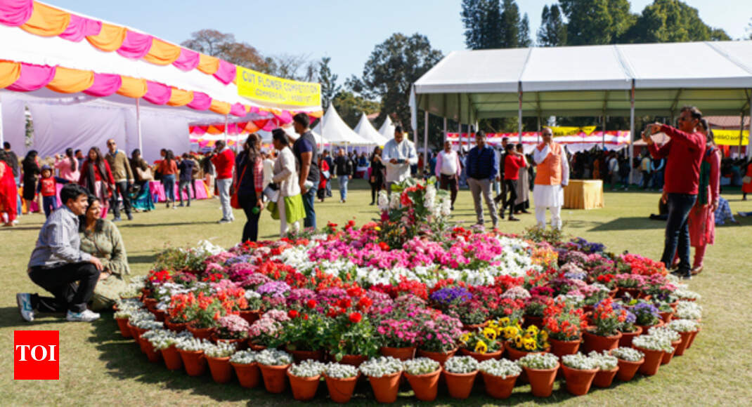 In full bloom Doon spring with this flower show Dehradun