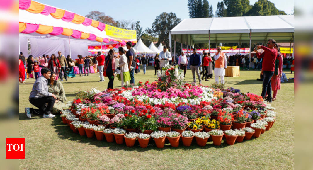 In full bloom Doon spring with this flower show Dehradun