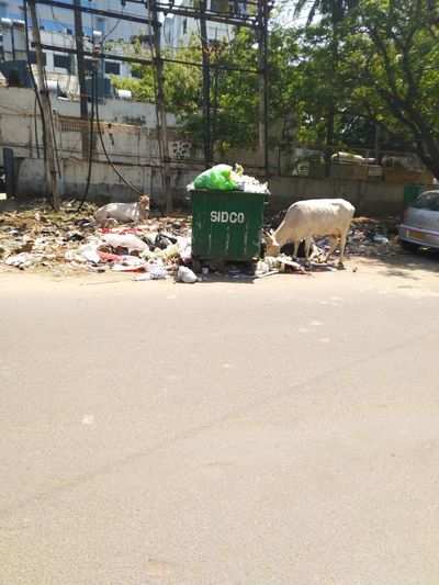 Guindy Garbage Estate