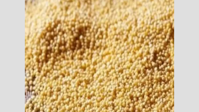 Most millets in market worse than white rice, may up blood sugar level