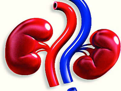 Over 5 lakh people in Ahmedabad fall prey to kidney diseases