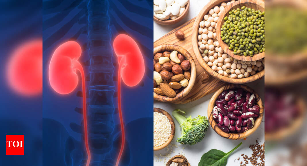 High Protein Effect on Kidneys A highprotein diet can affect your