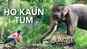 Junglee - Movie Clip