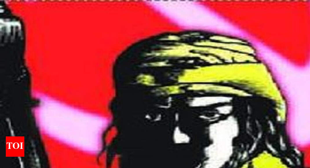 Visakhapatnam: Two Maoists gunned down - Times of India