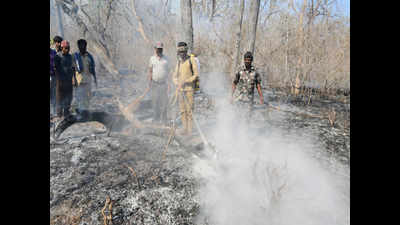 Another fire reported in Bandipur Tiger Reserve