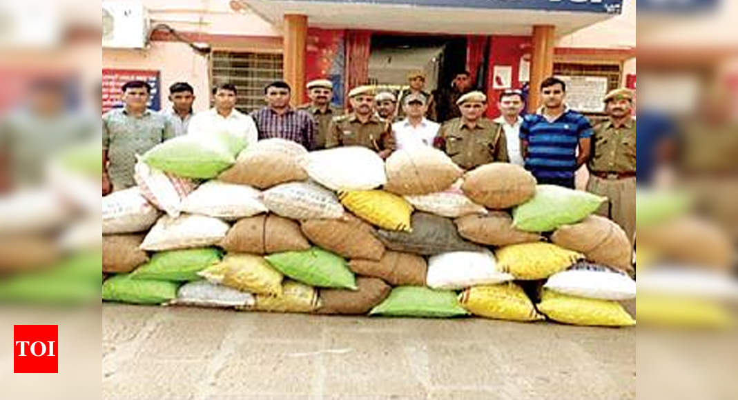 Police seize doda post, opium saplings in Jalore | Jaipur News - Times ...