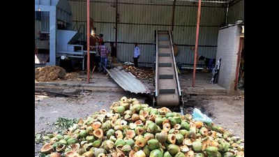 Tender coconut shell garbage to turn into gold at Reay Road crematorium