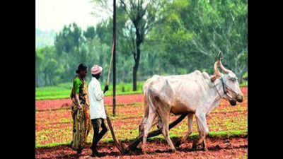 1,400 farmer families to boycott Lok Sabha elections in Pilibhit