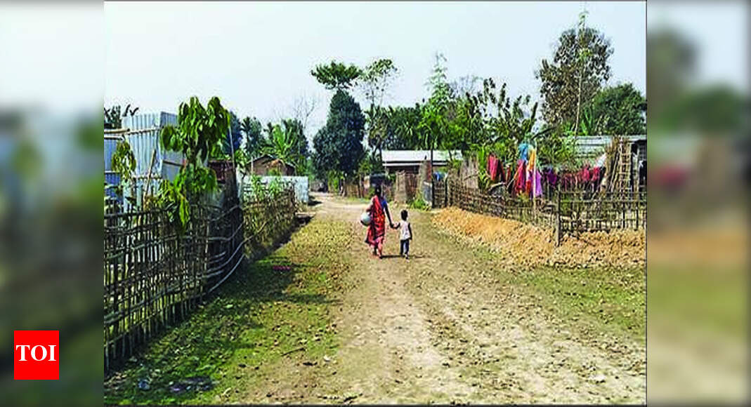 Assam's refugees hope for return of citizenship bill