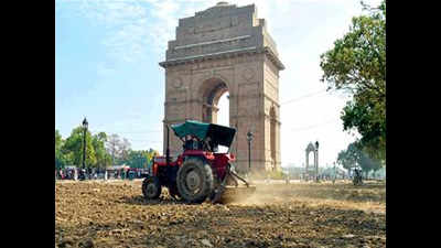 Arts body nod to India Gate lawns project