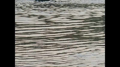 Tractor falls in Yamuna while crossing river