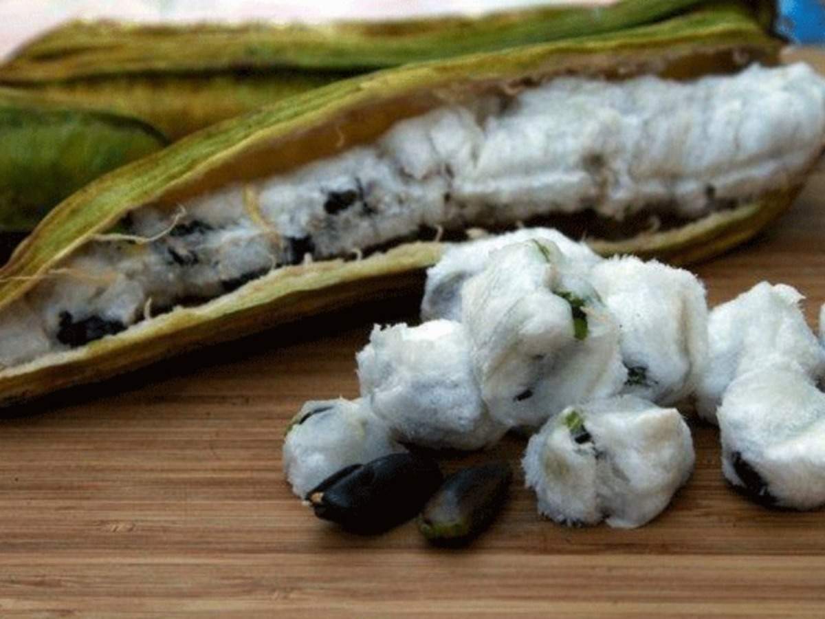 Ice Cream Bean Fruit's Health Benefits