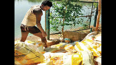 Dosa batter lands in Sheelavantha Lake, food firm apologises