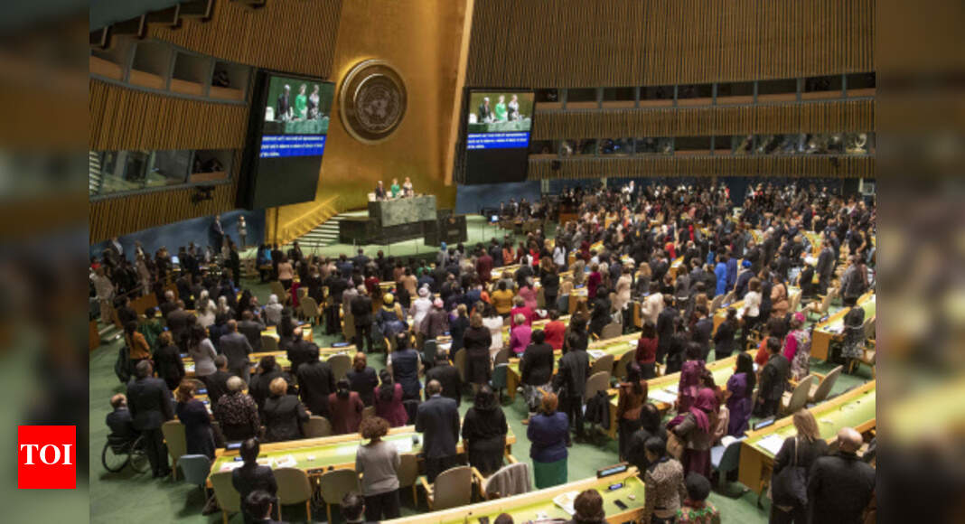 India slams Security Council for 'undermining' UN General Assembly's ...
