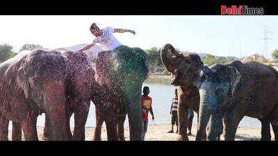 Junglee: Vidyut Jammwal's Jumbo-special Holi!