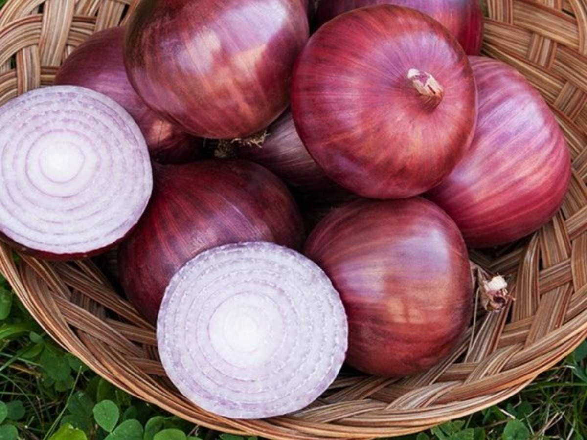 Onion Ooty