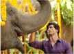 
The music of Junglee has a pan-India soundscape with distinct flavours
