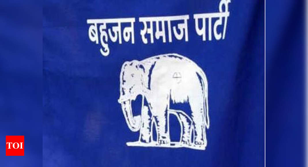 Chhattisgarh: BSP Announces Second List of Candidates For Assembly Polls
