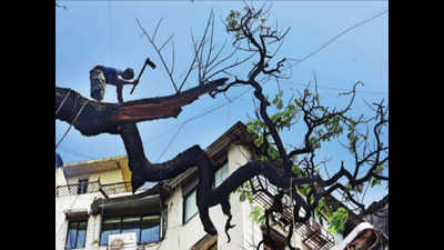 Civic chief suggests names for tree panel, Shiv Sena doesn’t like it