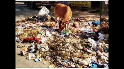 Festive waste raises stink as 4,ooo LMC staff on leave