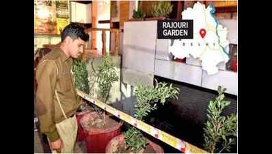 2 die after inhaling noxious fumes at sewage treatment plant in Delhi’s Rajouri Garden