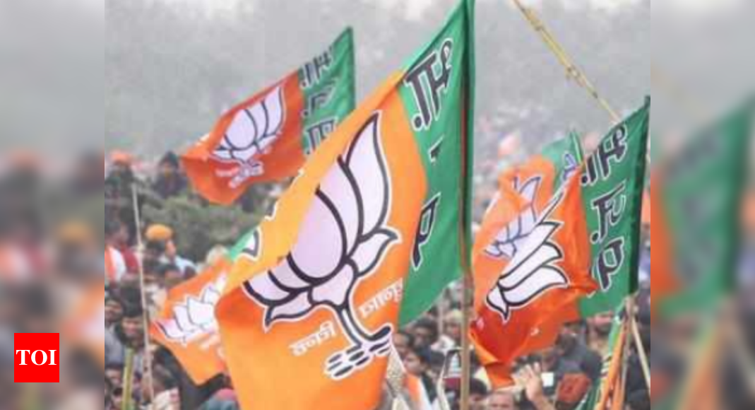 BJP Announces Names Of 297 Candidates For Lok Sabha Polls In Six Lists ...