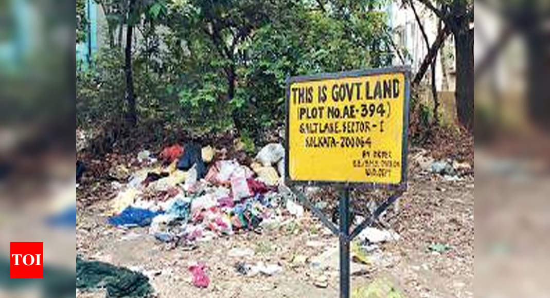 NGT asks Nagaland government to respond on plea seeking shut down of  Dimapur garbage dumping site