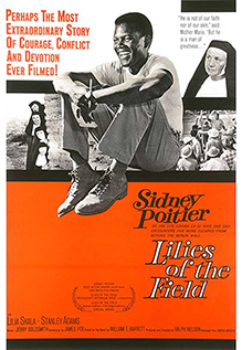 Lilies Of The Field