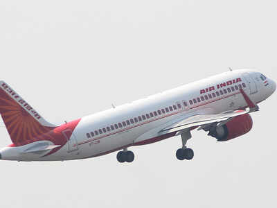 air india international flight bolsagage size