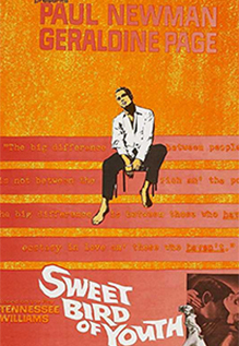Sweet Bird Of Youth