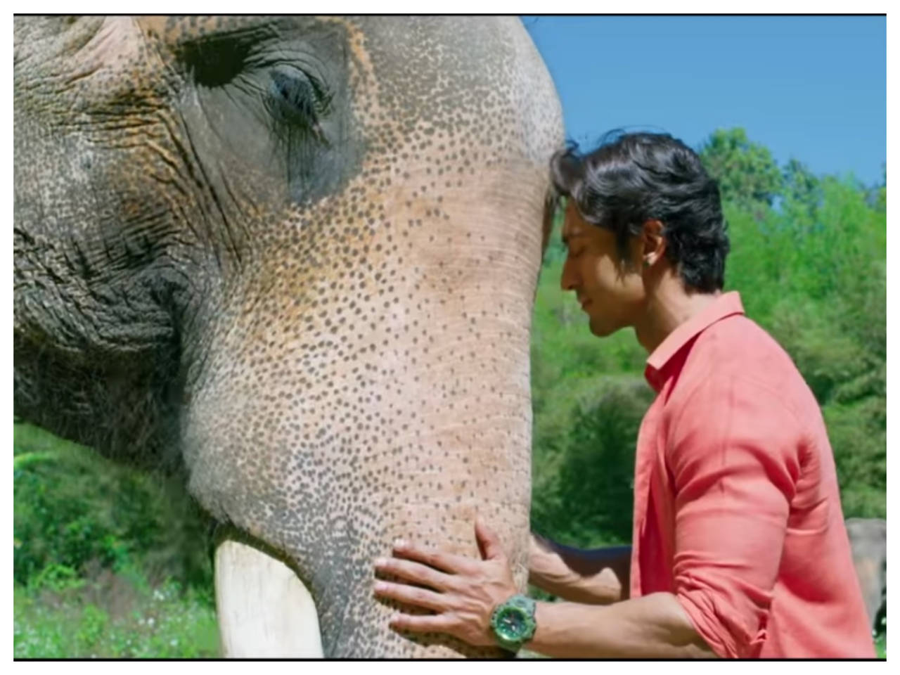 'Junglee' new song: 'Dosti' tells the tale of friendship between Vidyut  Jammwal and his elephant friend Bhola | Hindi Movie News - Times of India