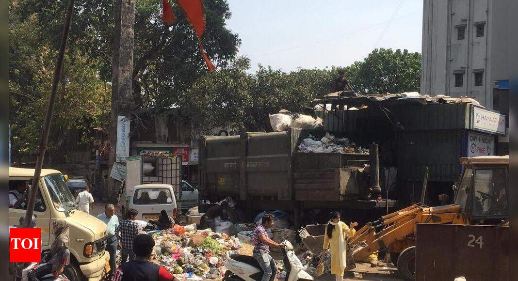 garbage on road in Mumbai Mazgaon Lovelane - Times of India