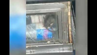 Watch: Video of rat in food stall at Bandra railway station goes viral