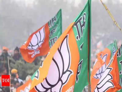 BJP drops three more sitting MPs, brings in new faces